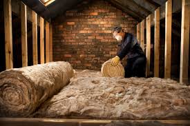 Best Eco-Friendly or Green Insulation Solutions  in Ida Grove, IA